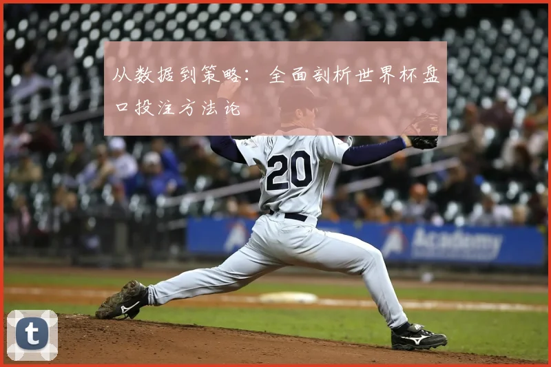 从数据到策略:全面剖析世界杯盘口投注方法论