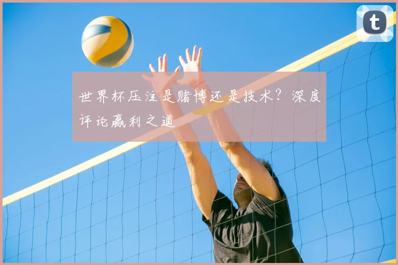 世界杯压注是赌博还是技术?深度评论赢利之道