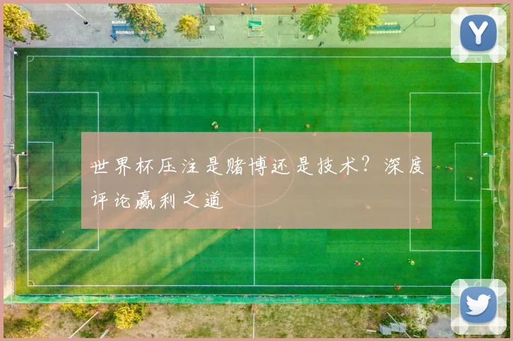 世界杯压注是赌博还是技术？深度评论赢利之道