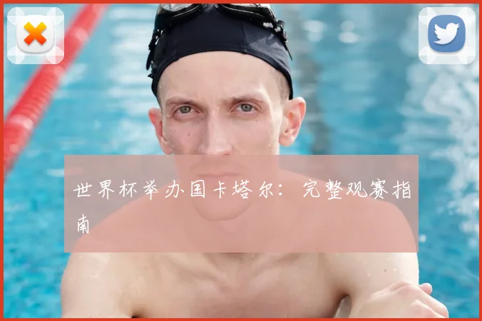 世界杯举办国卡塔尔:完整观赛指南