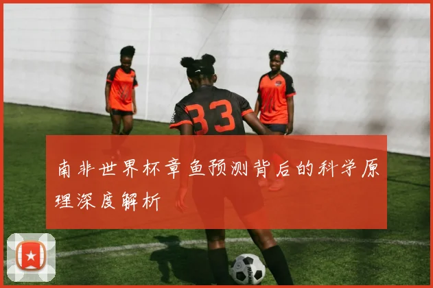 南非世界杯章鱼预测背后的科学原理深度解析